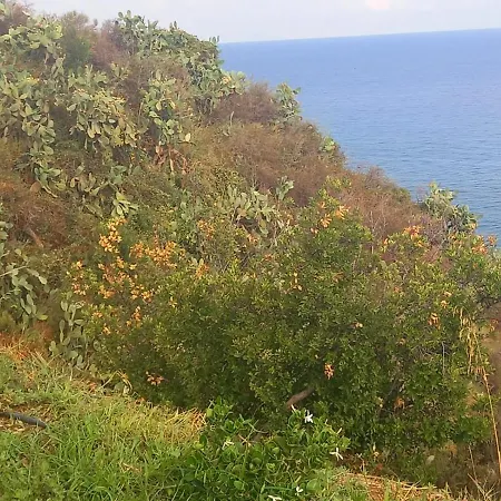 The Cliff House Mesyna