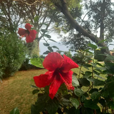 The Cliff House Villa Messina