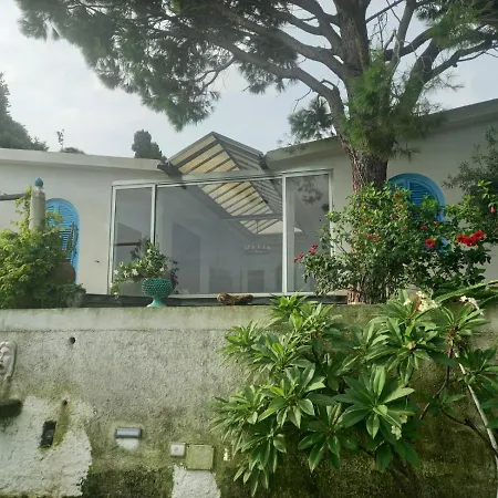 The Cliff House