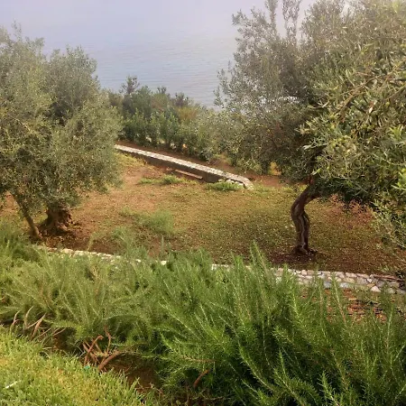 Villa The Cliff House Messina